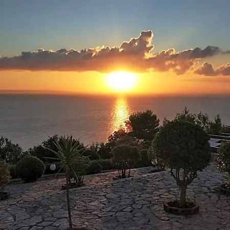 Contessa 4*