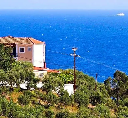 Contessa 4*